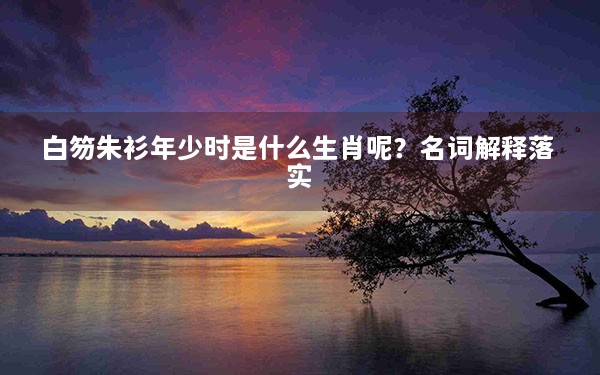 白笏朱衫年少时是什么生肖呢？名词解释落实