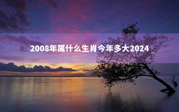 2008年属什么生肖今年多大2024