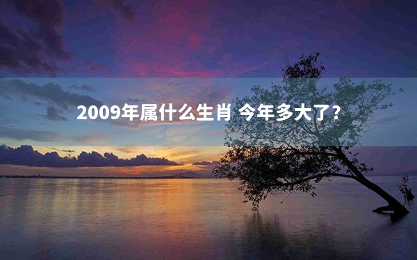 2009年属什么生肖 今年多大了？