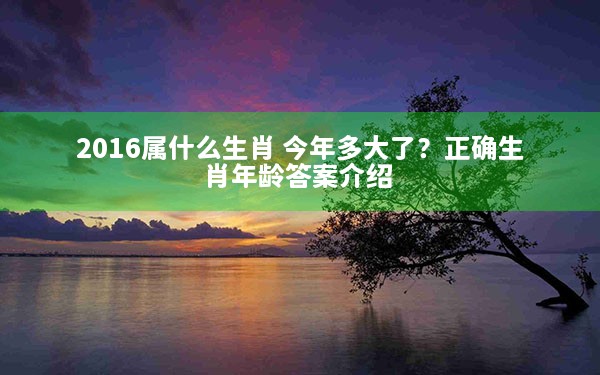 2016属什么生肖 今年多大了？正确生肖年龄答案介绍